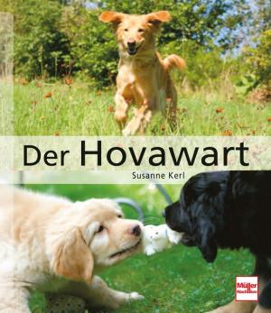 ISBN 9783275018017: Der Hovawart