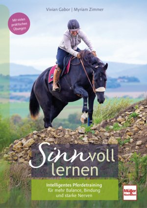 ISBN 9783275023387: SINNvoll lernen