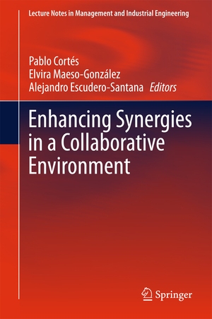 ISBN 9783319140773: Enhancing Synergies in a Collaborative Environment