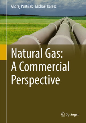 ISBN 9783319532486: Natural Gas: A Commercial Perspective