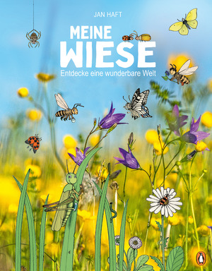 ISBN 9783328301837: Meine Wiese. - Entdecke eine wunderbare Welt - Sachbilderbuch für Kinder ab 6 Jahren