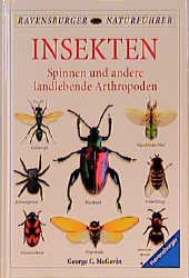 ISBN 9783332011180: Insekten – Spinnen und andere landlebende Arthropoden