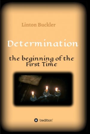 ISBN 9783347317161: Determination - the beginning of the First Time