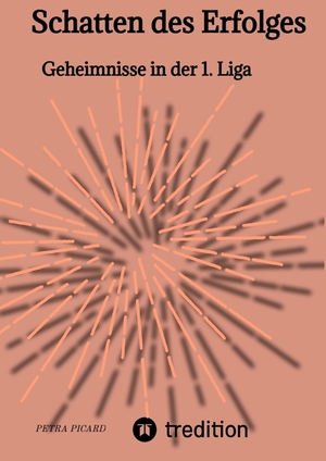 ISBN 9783347867215: Schatten des Erfolges - Geheimnisse in der 1. Liga