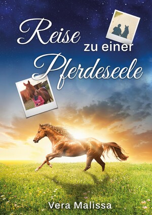 ISBN 9783347954151: Reise zu einer Pferdeseele