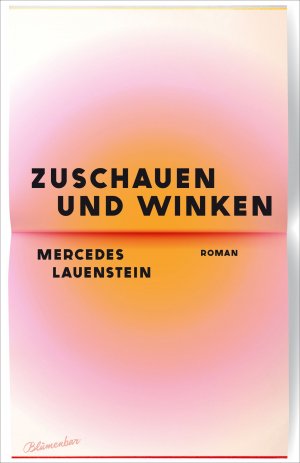 ISBN 9783351051259: Zuschauen und Winken – Roman