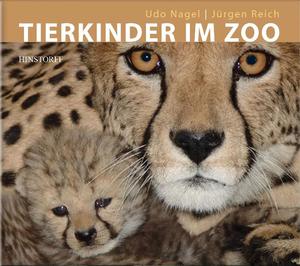 ISBN 9783356012811: Tierkinder im Zoo