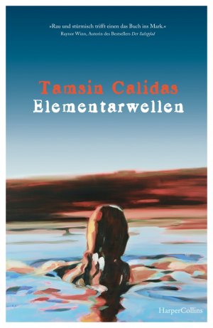 ISBN 9783365004203: Elementarwellen