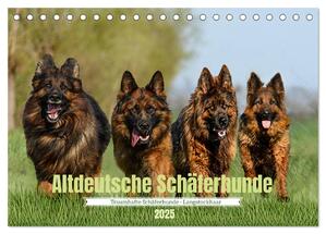 ISBN 9783383896668: Altdeutsche Schäferhunde - Traumhafte Schäferhunde Langstockhaar (Tischkalender 2025 DIN A5 quer), CALVENDO Monatskalender – Traumhafte langhaarige Schäferhunde begeistern einzeln oder im Rudel mit ihrer Kraft und Ausstrahlung.