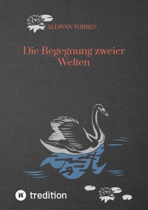 neues Buch – Aldivan Torres – Die Begegnung zweier Welten / Aldivan Torres / Taschenbuch / Paperback / 568 S. / Deutsch / 2024 / tredition / EAN 9783384412553