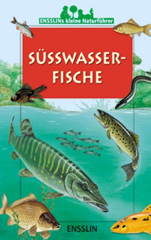 ISBN 9783401452586: Süsswasserfische