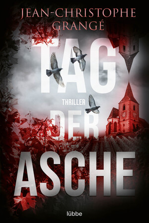 ISBN 9783404189496: Tag der Asche – Thriller