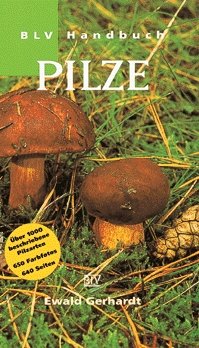 ISBN 9783405147372: BLV Handbuch Pilze