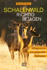 ISBN 9783405152550: Schalenwild richtig bejagen