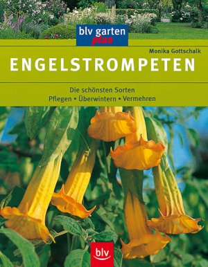 ISBN 9783405157609: Engelstrompeten