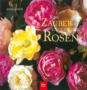 ISBN 9783405157708: Vom Zauber Englischer Rosen