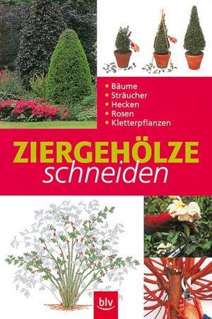 ISBN 9783405159474: Ziergehölze schneiden - Bäume - Sträucher - Rosen - Kletterpflanzen