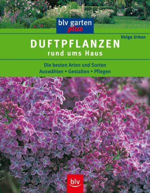 ISBN 9783405160074: Duftpflanzen rund ums Haus – Die besten Arten und Sorten  Auswählen · Gestalten · Pflegen