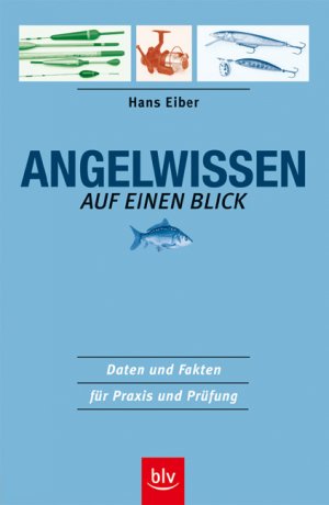 ISBN 9783405161781: Angelwissen auf einen Blick – Daten und Fakten für Praxis und Prüfung