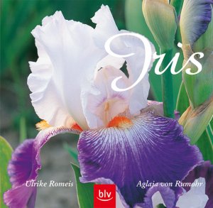 gebrauchtes Buch – Romeis, Ulrike; Rumohr – Iris