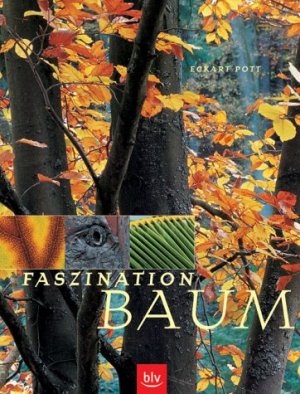 ISBN 9783405162207: Faszination Baum