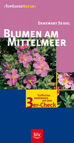 ISBN 9783405162948: Blumen am Mittelmeer