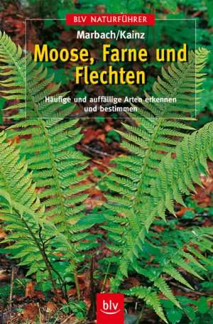 ISBN 9783405163235: Moose, Farne und Flechten - Häufige und auffällige Arten erkennen und bestimmen