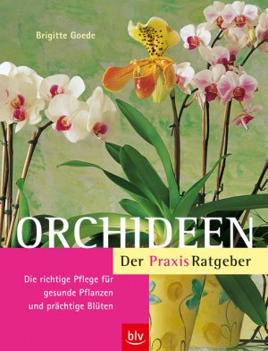 gebrauchtes Buch – Orchideen. Der Praxis-Ratgeber: Die richtige Pflege für gesunde Pflanzen und prächtige Blüten