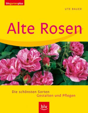 ISBN 9783405168896: Alte Rosen - Die schönsten Sorten · Gestalten und Pflegen