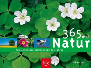 ISBN 9783405169329: 365 mal Natur