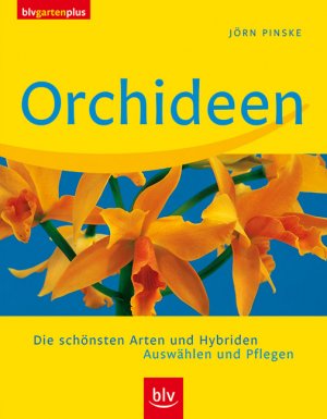 gebrauchtes Buch – Jörn Pinske – Orchideen: Die schönsten Arten und Hybriden. Auswählen und Pflegen (blv garten plus)