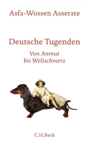 gebrauchtes Buch – Asfa-Wossen Asserate – Deutsche Tugenden: Von Anmut bis Weltschmerz von Anmut bis Weltschmerz