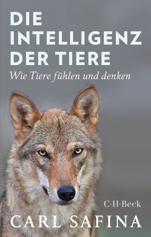 gebrauchtes Buch – Carl Safina – Die Intelligenz der Tiere - Wie Tiere fühlen und denken