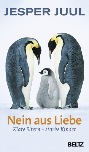 ISBN 9783407229403: Nein aus Liebe - Klare Eltern - starke Kinder