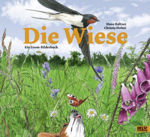 ISBN 9783407753656: Die Wiese : Ein Zoom-Bilderbuch