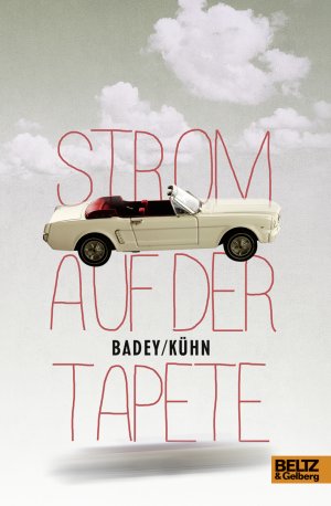 gebrauchtes Buch – Badey; Kühn – Strom auf der Tapete