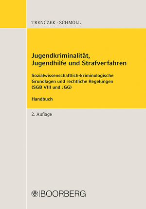 ISBN 9783415075986: Jugendkriminalität, Jugendhilfe und Strafverfahren