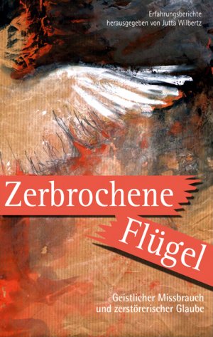 ISBN 9783417249392: Zerbrochene Flügel