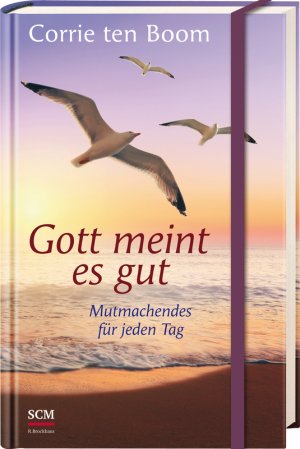 ISBN 9783417265408: Gott meint es gut - Mutmachendes für jeden Tag