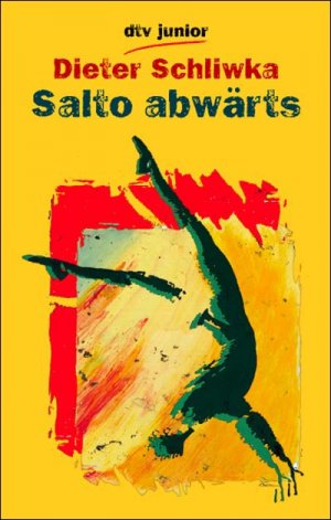 ISBN 9783423078740: Salto abwärts