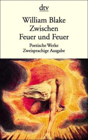 ISBN 9783423125482: Zwischen Feuer und Feuer – Poetische Werke. Zweisprachige Ausgabe