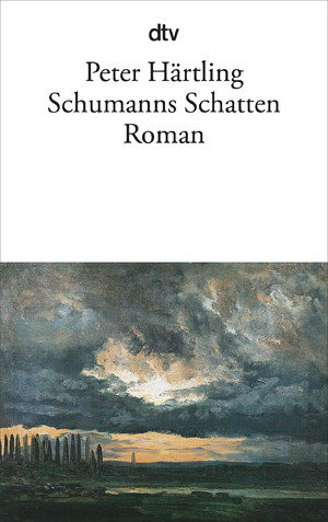 ISBN 9783423125819: Schumanns Schatten - Variationen über mehrere Personen – Roman