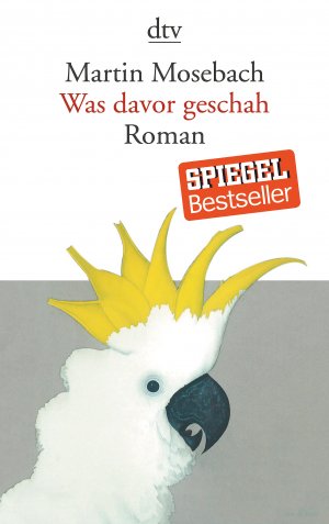 ISBN 9783423141055: Was davor geschah