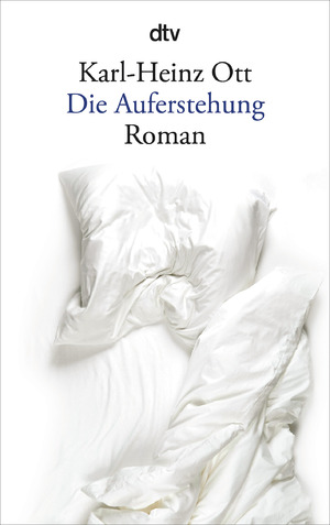 gebrauchtes Buch – Die Auferstehung