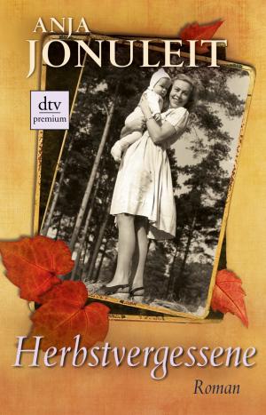 ISBN 9783423247887: Herbstvergessene