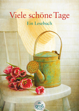 ISBN 9783423253314: Viele schöne Tage: Ein Lesebuch