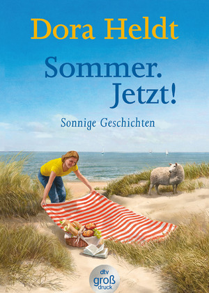 ISBN 9783423254243: Sommer. Jetzt! – Sonnige Geschichten