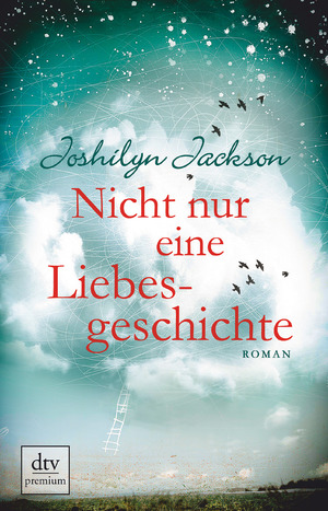 ISBN 9783423260640: Nicht nur eine Liebesgeschichte – Roman