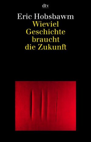 ISBN 9783423308182: Wieviel Geschichte braucht die Zukunft