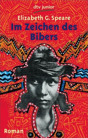 ISBN 9783423701037: Im Zeichen des Bibers